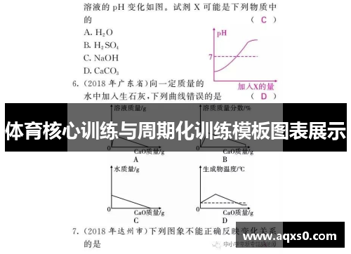 体育核心训练与周期化训练模板图表展示